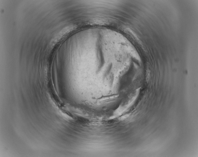 X0000088650444200706081641