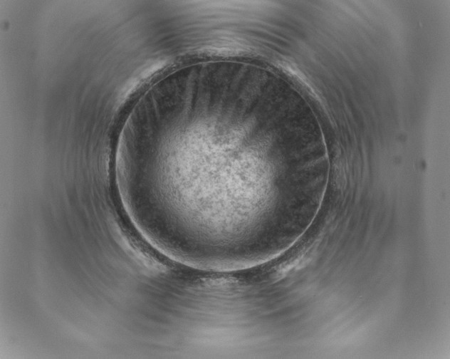 X0000088650446200706081642