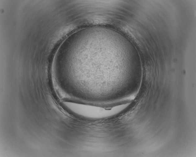 X0000088650447200706081642