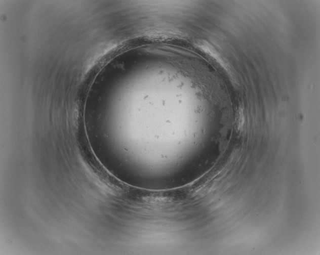 X0000088650448200706081642