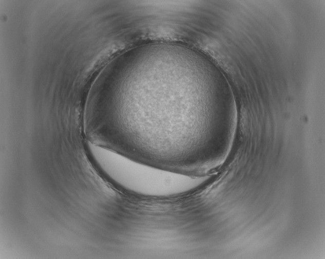 X0000088650449200706081642