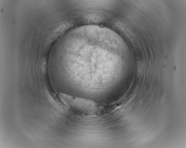 X0000088650451200706081642