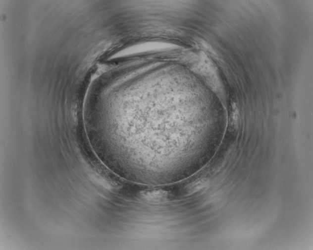 X0000088650452200706081642