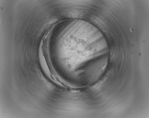 X0000088650453200706081642