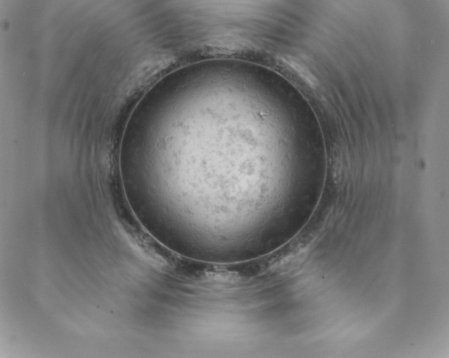 X0000088650455200706081642