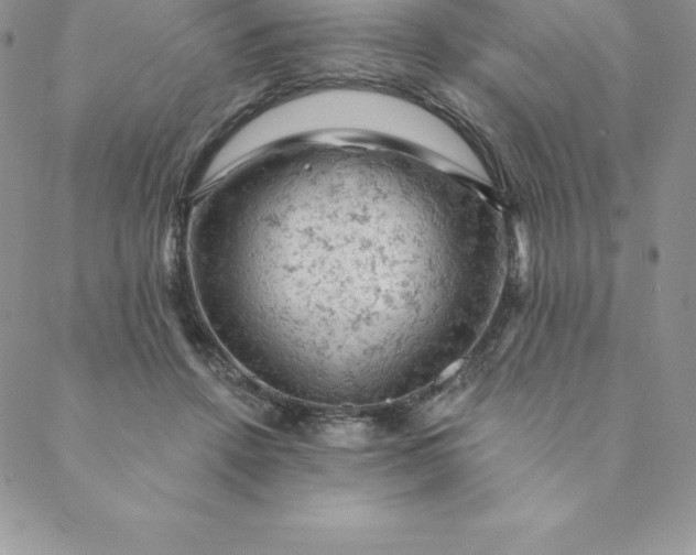 X0000088650456200706081642