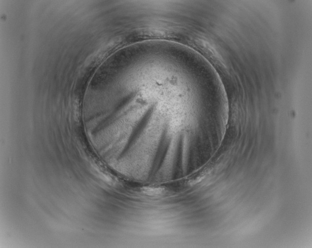 X0000088650457200706081642