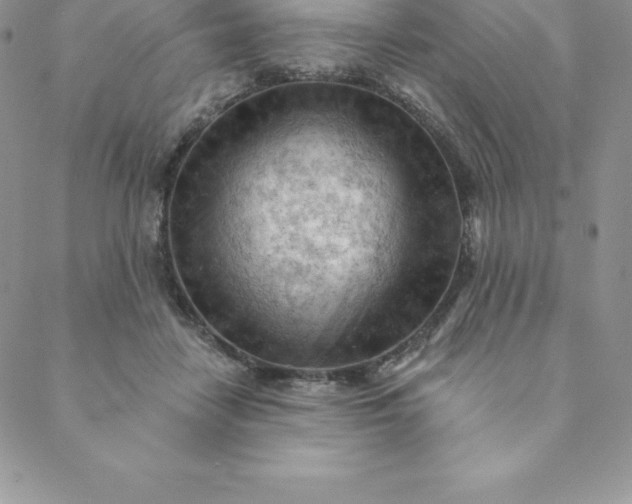 X0000088650458200706081642