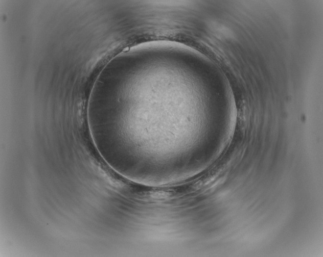 X0000088650462200706081642