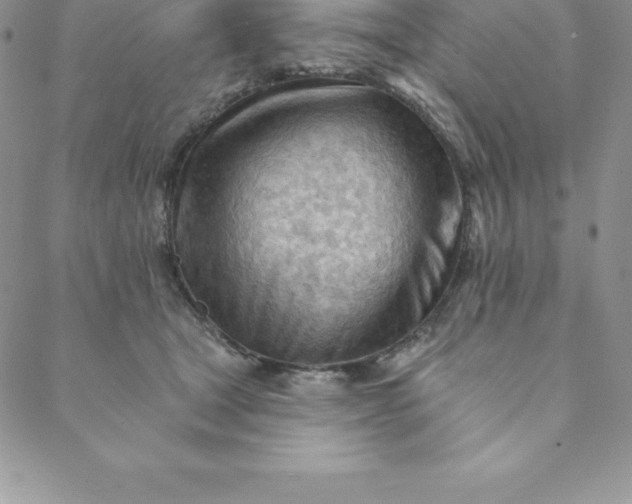 X0000088650465200706081642