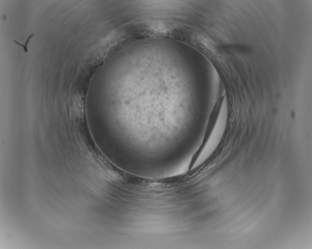 X0000088650467200706081642