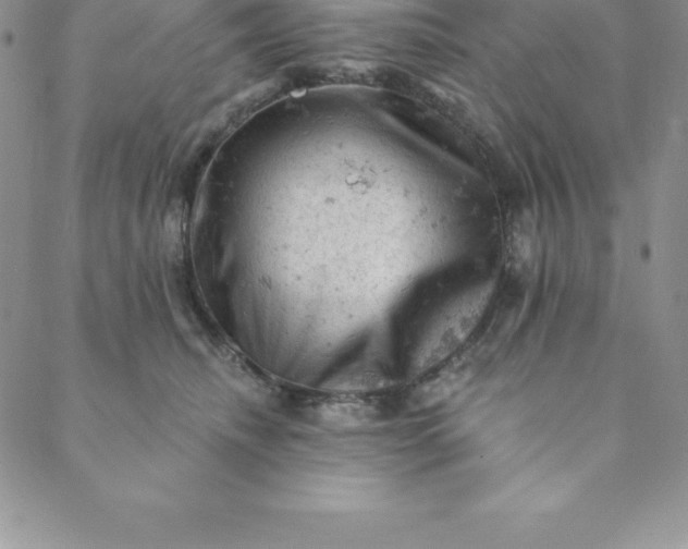 X0000088650468200706081642