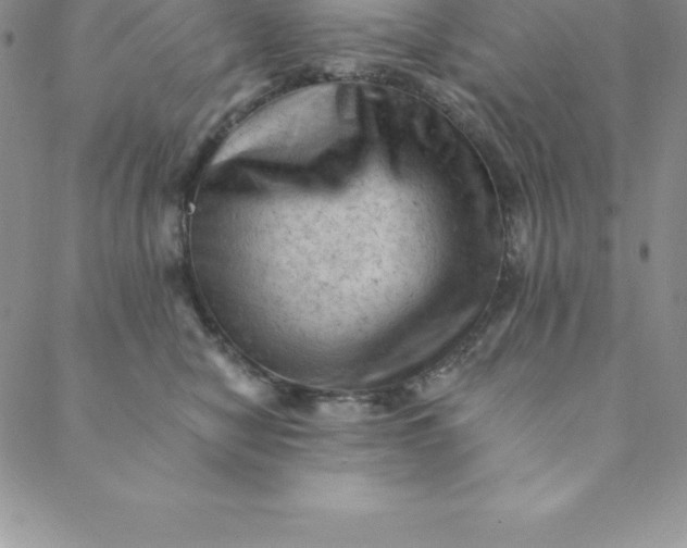 X0000088650470200706081642