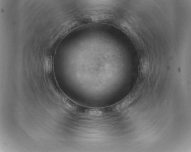 X0000088650471200706081642