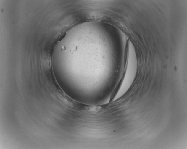 X0000088650474200706081642