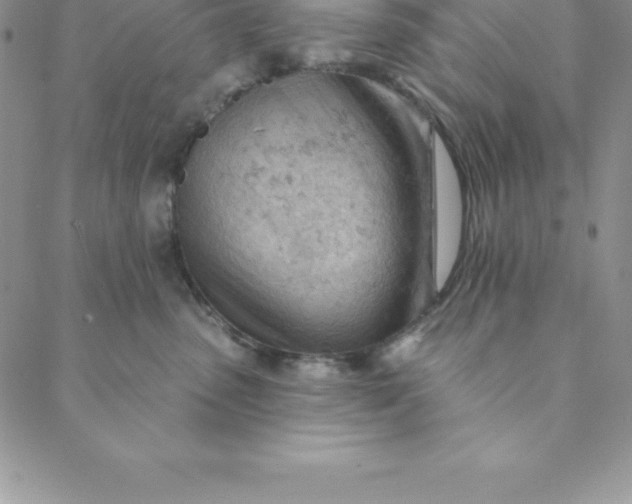 X0000088650475200706081642