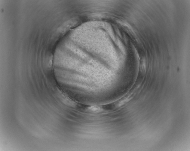 X0000088650477200706081642