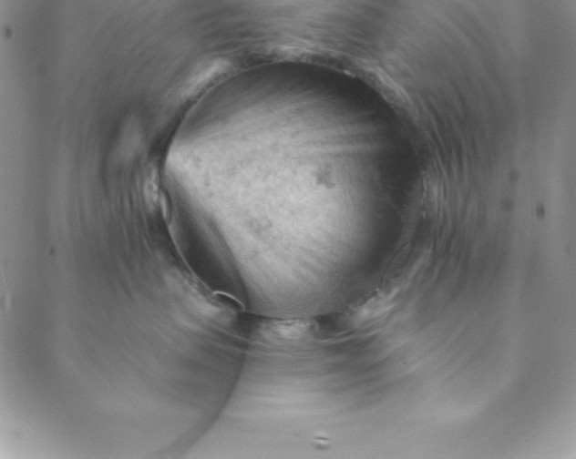 X0000088650479200706081642