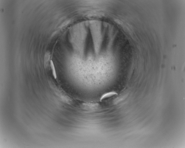 X0000088650480200706081642