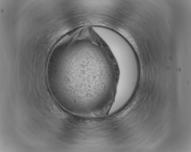 X0000088650481200706081641