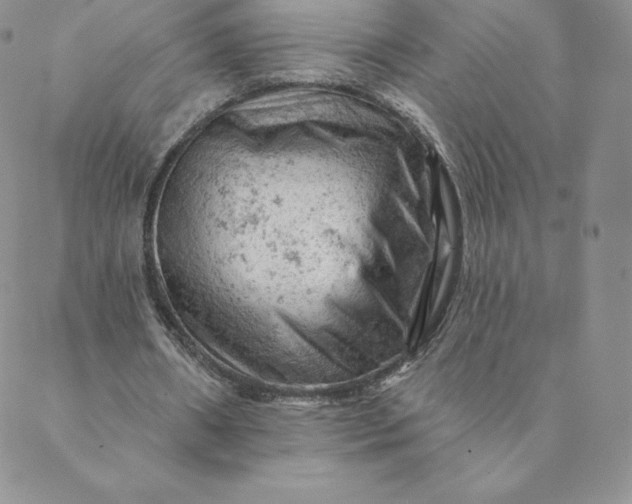 X0000088650482200706081641