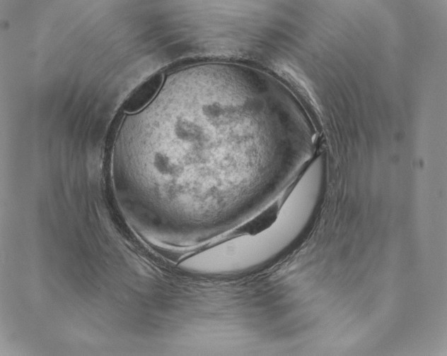 X0000088650483200706081641