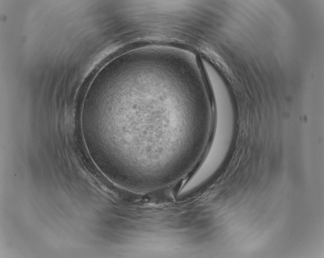 X0000088650484200706081641