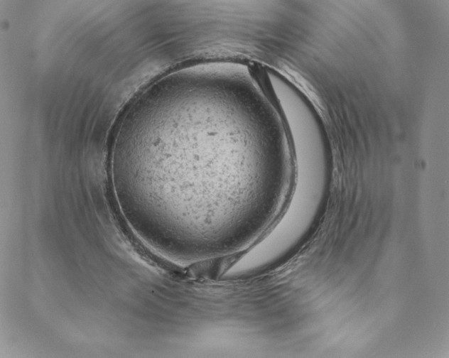 X0000088650485200706081641