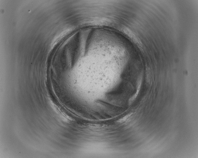 X0000088650486200706081641