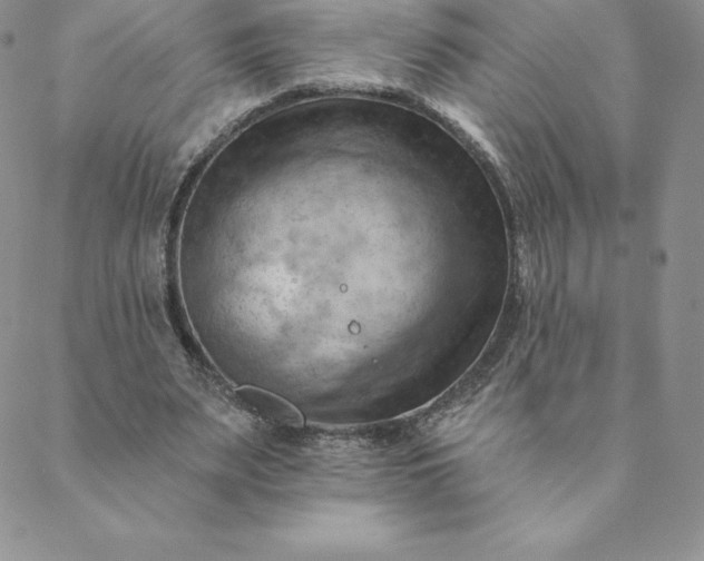 X0000088650487200706081641