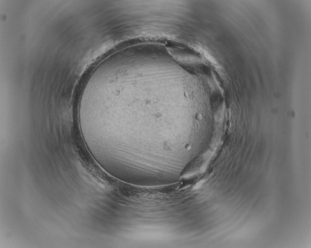 X0000088650488200706081641