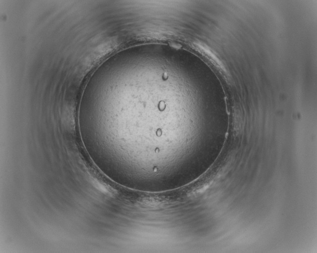 X0000088650489200706081641