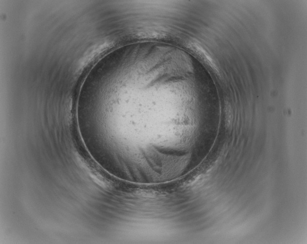 X0000088650490200706081641