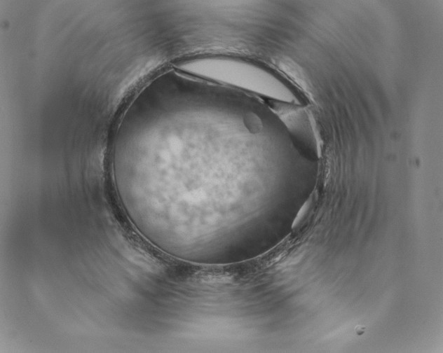 X0000088650491200706081641