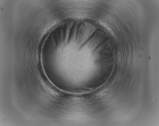 X0000088650494200706081641