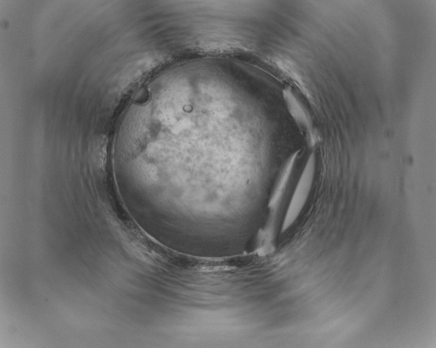 X0000088650495200706081641