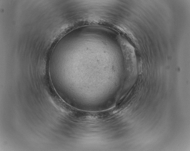 X0000088650496200706081641