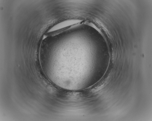 X0000088650497200706081641