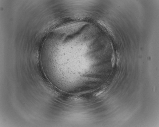 X0000088650498200706081641