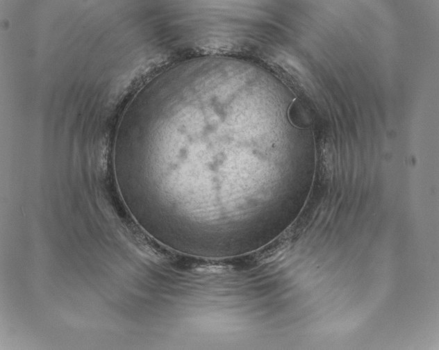 X0000088650499200706081641