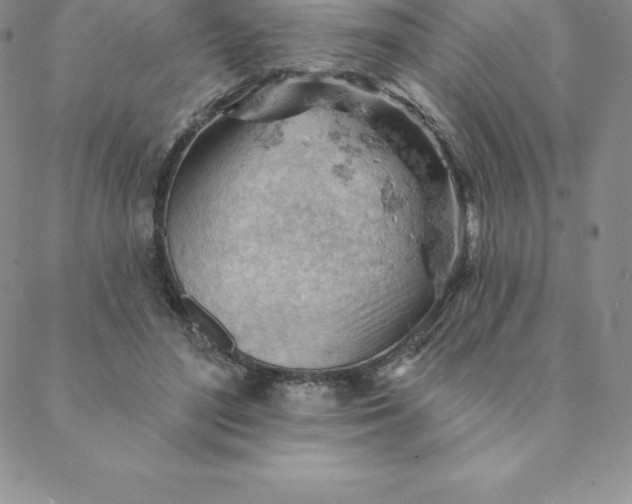 X0000088650500200706081641