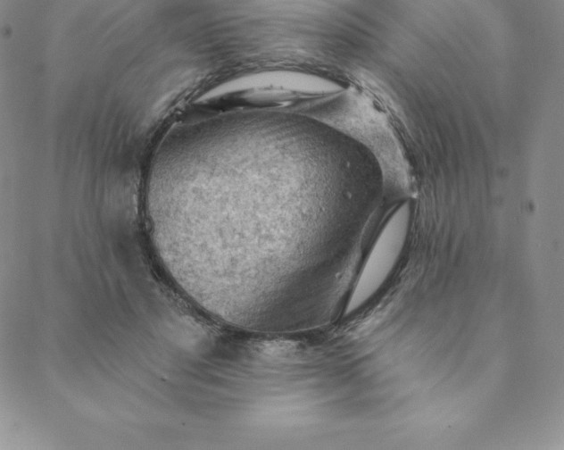 X0000088650501200706081641