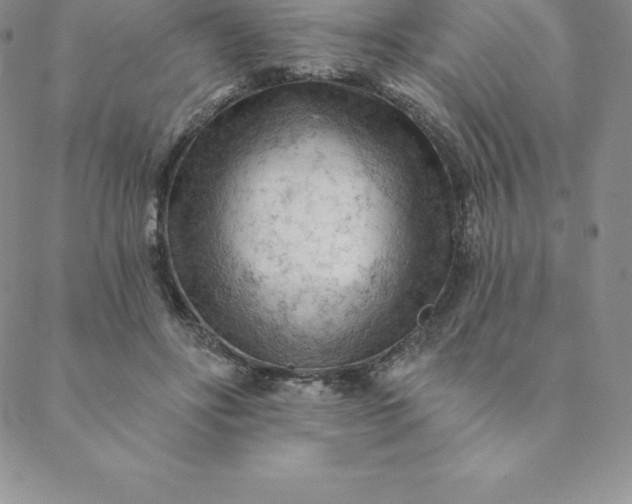 X0000088650502200706081641