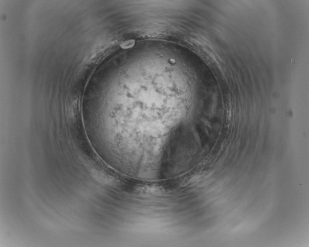 X0000088650503200706081641