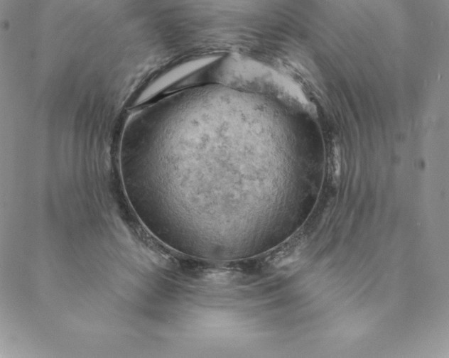 X0000088650504200706081641