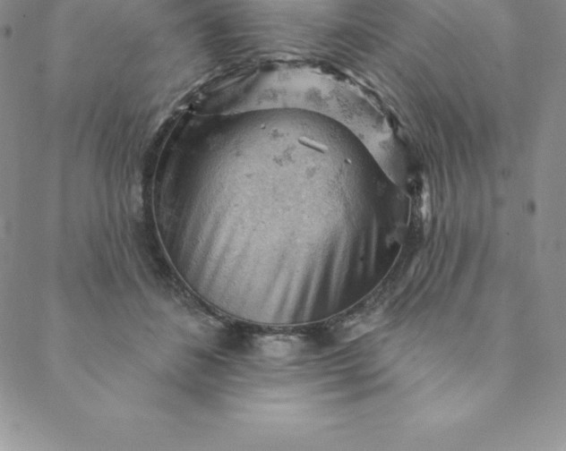 X0000088650508200706081641