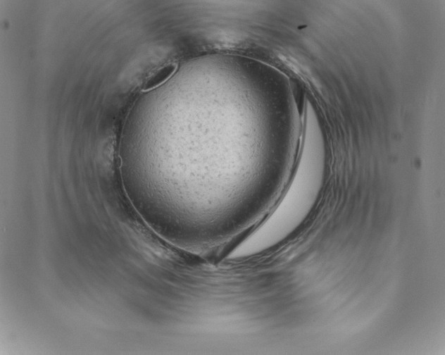 X0000088650509200706081641