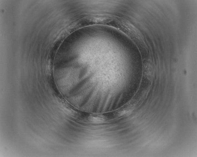 X0000088650510200706081641