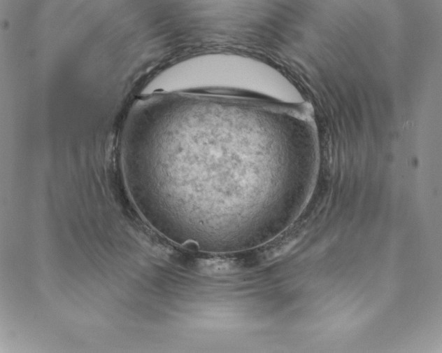 X0000088650511200706081641