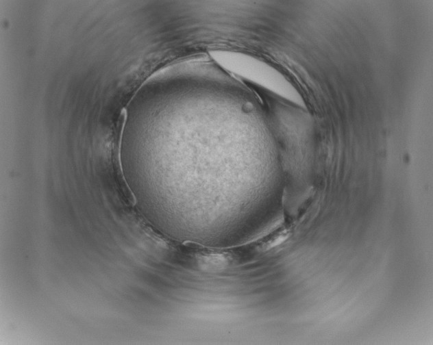 X0000088650513200706081641